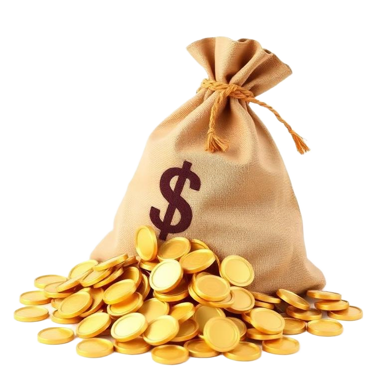 Bag of gold coins